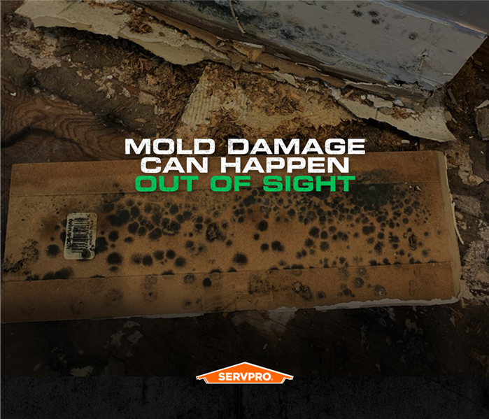 mold damaged walls and baseboards, servpro poster